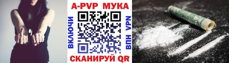 дарнет шоп  Яблоновский  OMG как войти  Alpha PVP крисы CK 