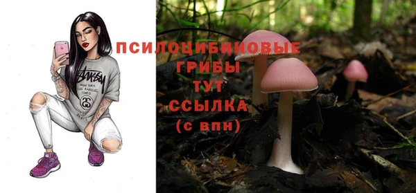 молекула духа Абаза
