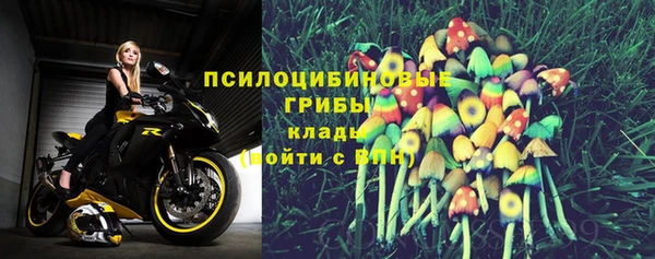 бошки Алексин