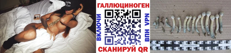 где продают наркотики  Яблоновский  Галлюциногенные грибы Cubensis 