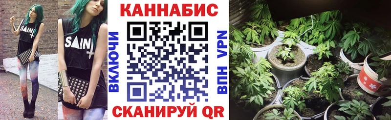 Бошки Шишки семена  Яблоновский 